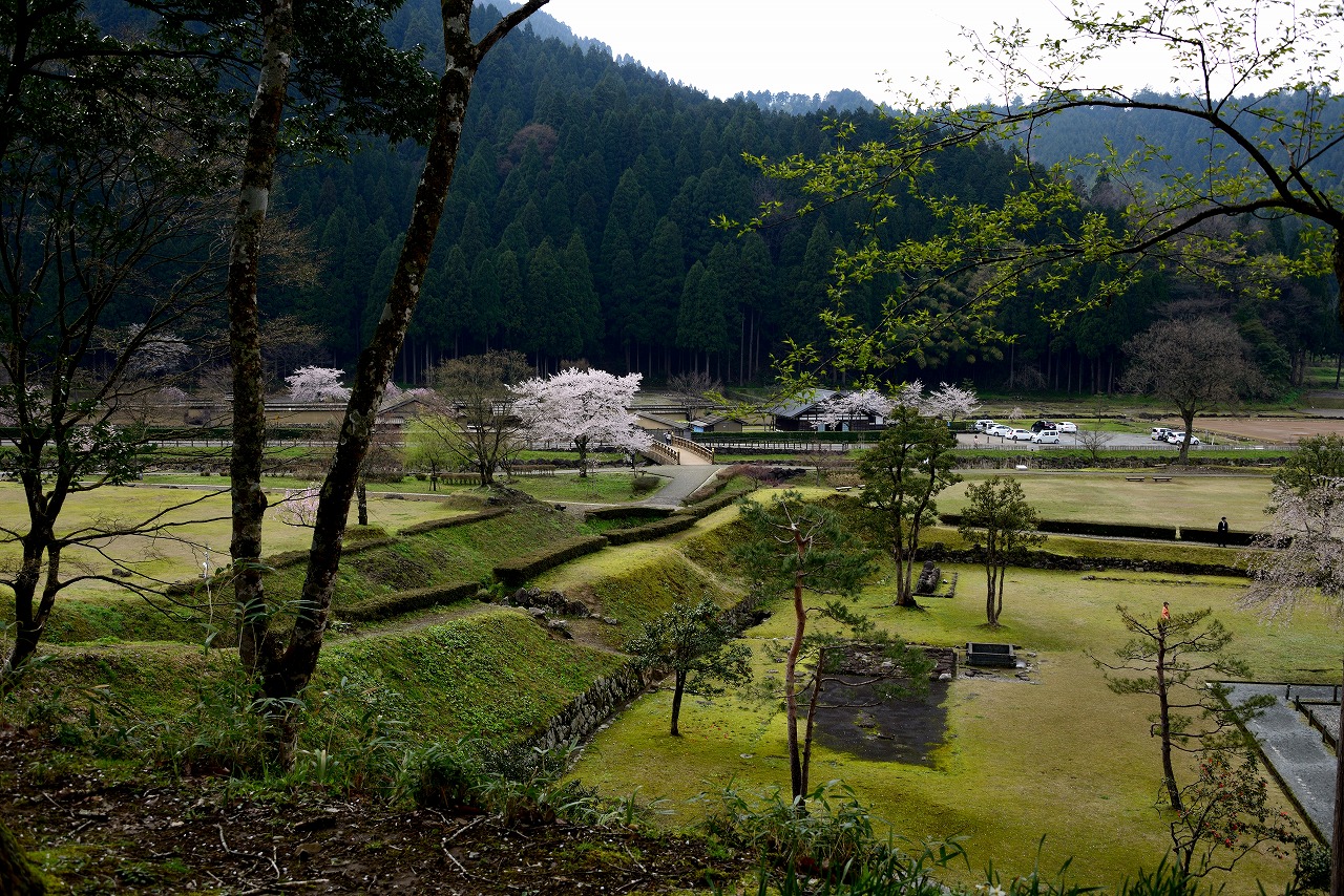 幻の都「一乗谷朝倉氏遺跡」に淡墨桜を訪ねる | きままな旅人