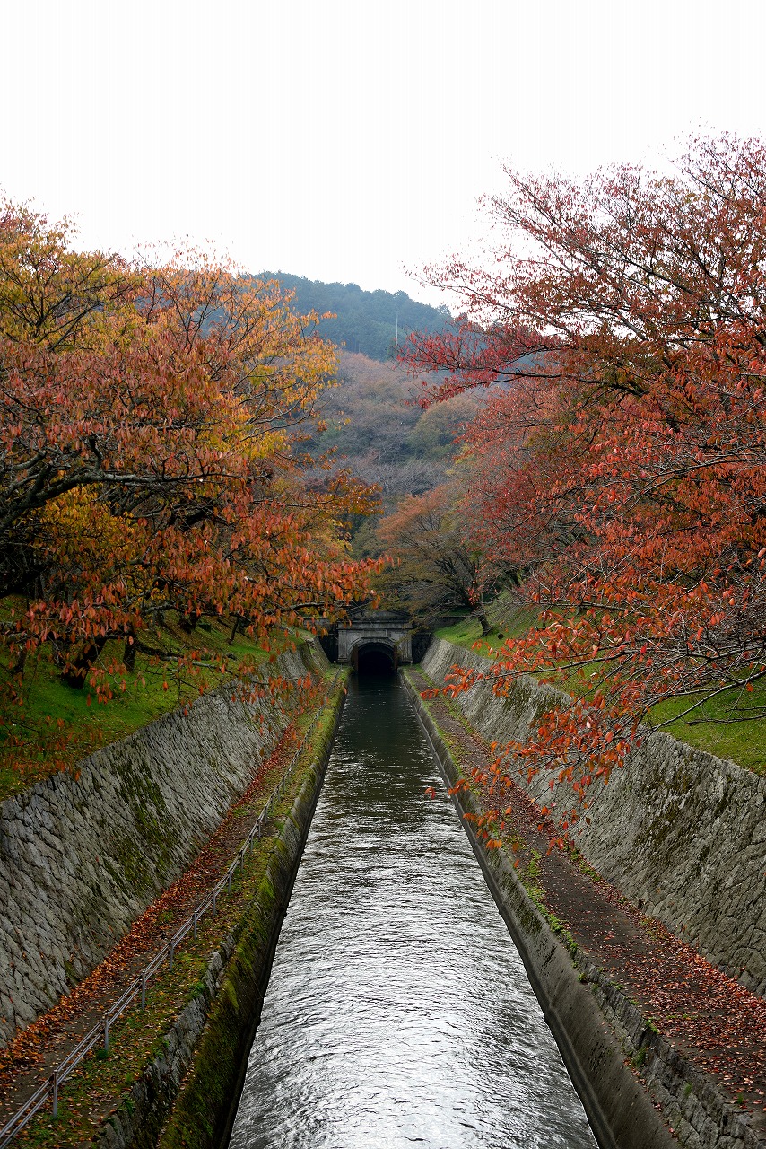 三井の錦秋 | きままな旅人
