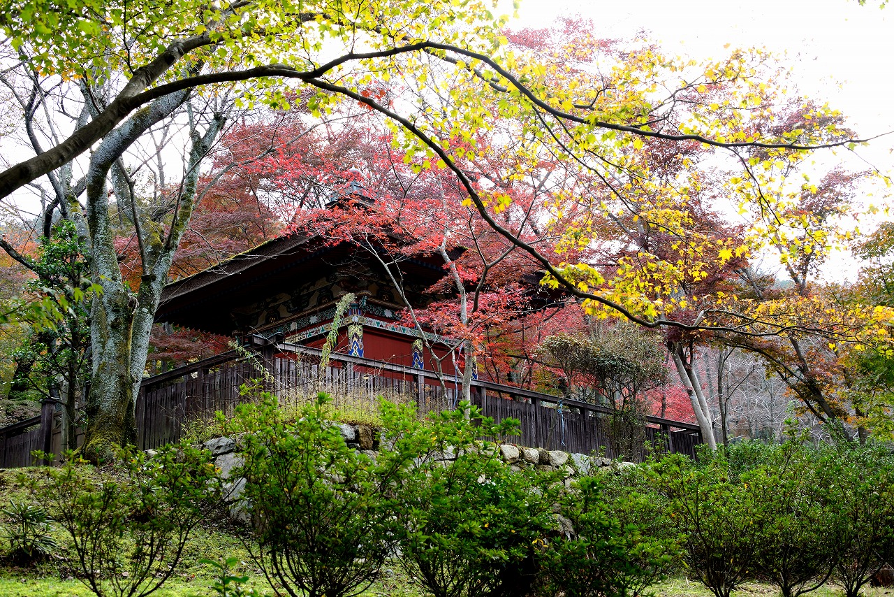 三井の錦秋 | きままな旅人