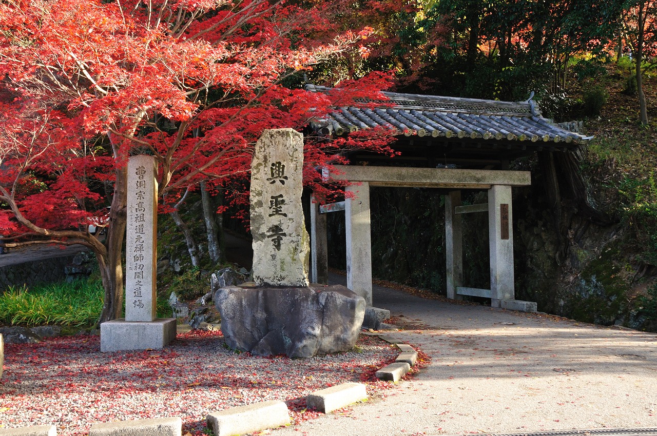秋の紅葉めぐり 興聖寺 | きままな旅人